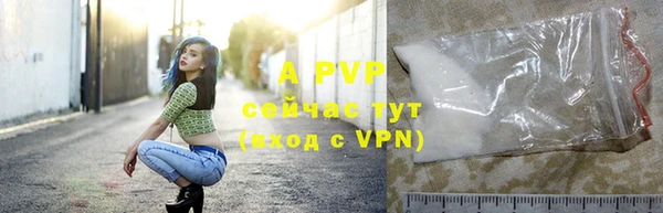 экстази Богданович