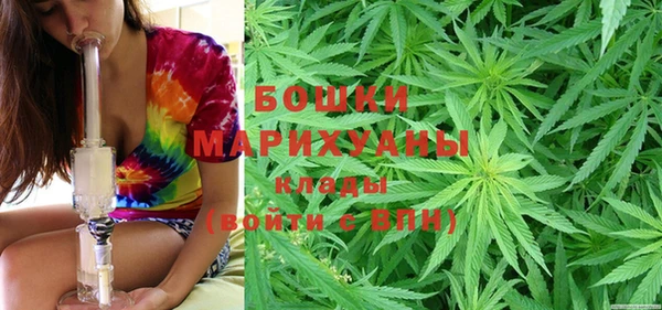 экстази Богданович