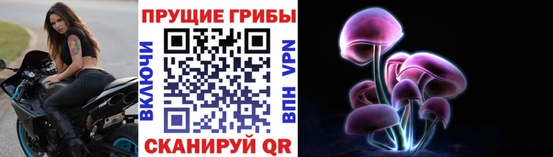 Галлюциногенные грибы MAGIC MUSHROOMS  Купить закладки  Сергач 